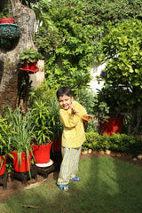 'Golden Afternoon' Unisex Organic Cotton Kurta Pajama Set
